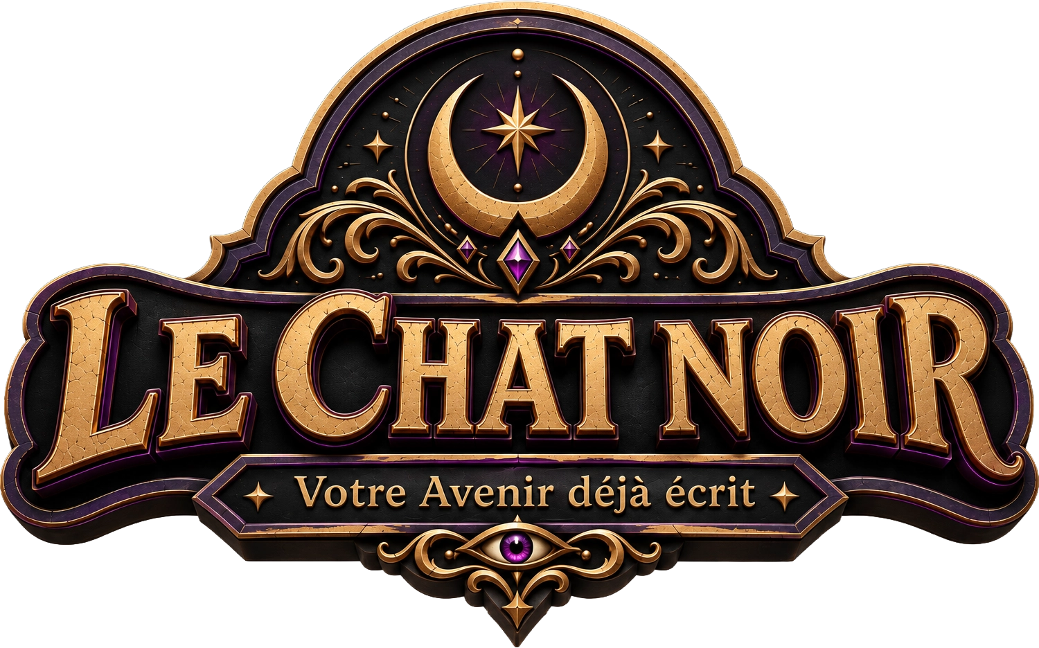 Portrait du Chat Noir dans son cabinet de voyance